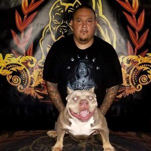 Meet your Posher, Simon